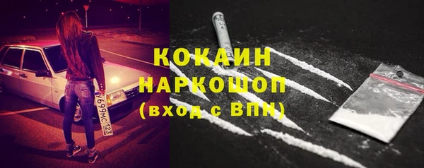 сатива Белокуриха