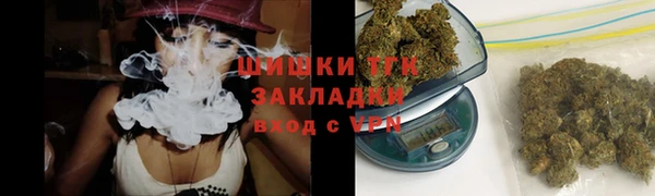 сатива Белокуриха