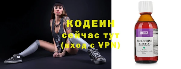 сатива Белокуриха