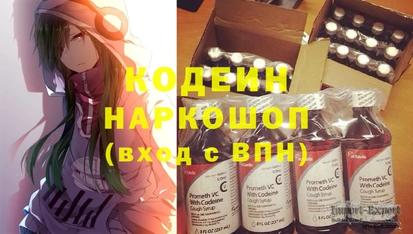 сатива Белокуриха