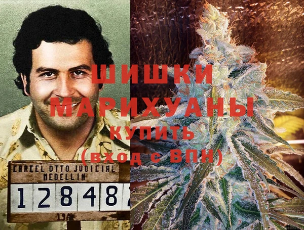 сатива Белокуриха