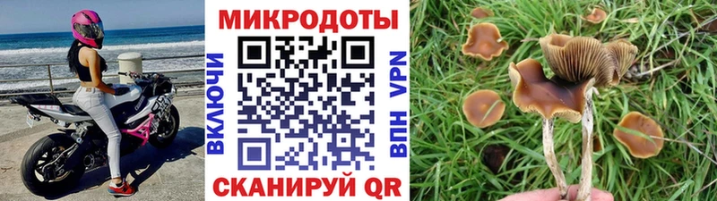 дарнет шоп  OMG ONION  Псилоцибиновые грибы прущие грибы  Минеральные Воды 