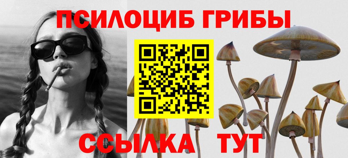 Псилоцибиновые грибы мицелий  Вход с VPN  Минеральные Воды  Галлюциногенные грибы Magic Shrooms 
