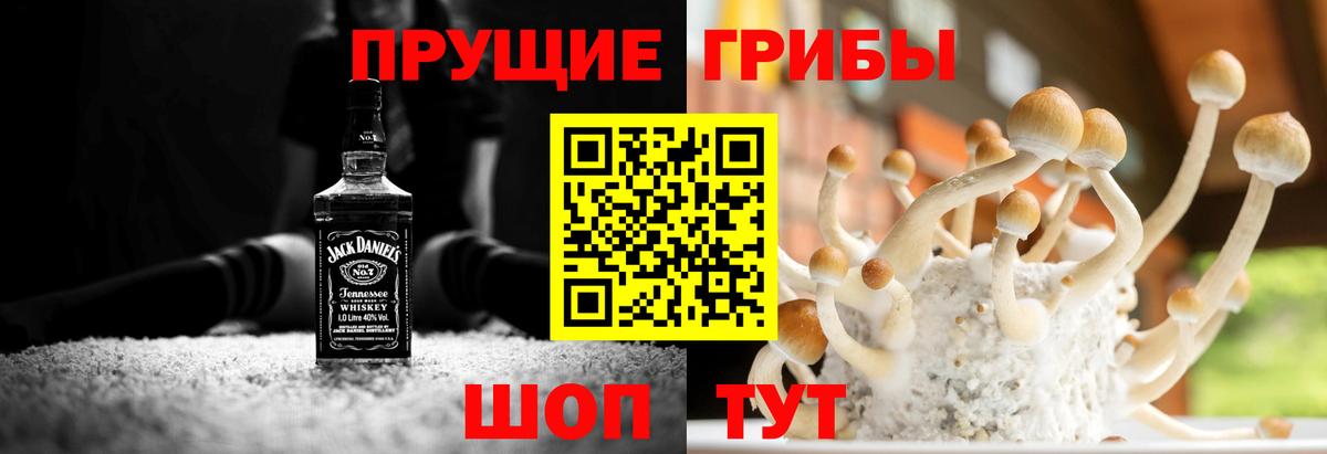 Псилоцибиновые грибы мухоморы Минеральные Воды